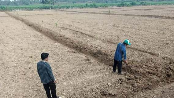 Lahan Perkebunan PT. Lebuni di Kecamatan Popayato