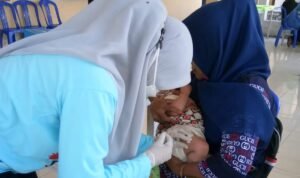 Puskesmas Berlian saat melaksanakan posyandu di Desa Mustika