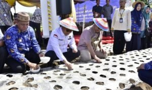 Penjabat Gubernur Gorontalo Hamka Hendra Noer (tengah jongkok) didampingi Kadis Ketahanan Pangan Sutrisno (kiri) dan Kepala Perwakilan BI Gorontalo Dian Nugraha (kanan) menanam bawang merah di Desa Buhu, Kecamatan Telaga Jaya, Kabupaten Gorontalo