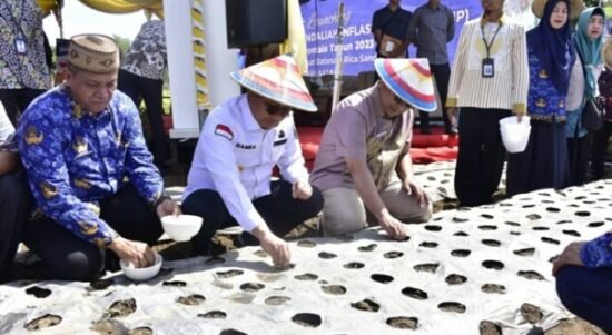 Penjabat Gubernur Gorontalo Hamka Hendra Noer (tengah jongkok) didampingi Kadis Ketahanan Pangan Sutrisno (kiri) dan Kepala Perwakilan BI Gorontalo Dian Nugraha (kanan) menanam bawang merah di Desa Buhu, Kecamatan Telaga Jaya, Kabupaten Gorontalo