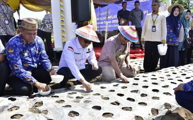 Penjabat Gubernur Gorontalo Hamka Hendra Noer (tengah jongkok) didampingi Kadis Ketahanan Pangan Sutrisno (kiri) dan Kepala Perwakilan BI Gorontalo Dian Nugraha (kanan) menanam bawang merah di Desa Buhu, Kecamatan Telaga Jaya, Kabupaten Gorontalo