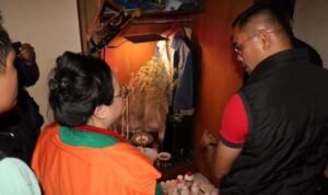 Satres Narkoba Polres Metro Jakarta Barat menangkap seorang wanita berinisial LA (29), lantaran menanam pohon ganja hidroponik di dalam lemari