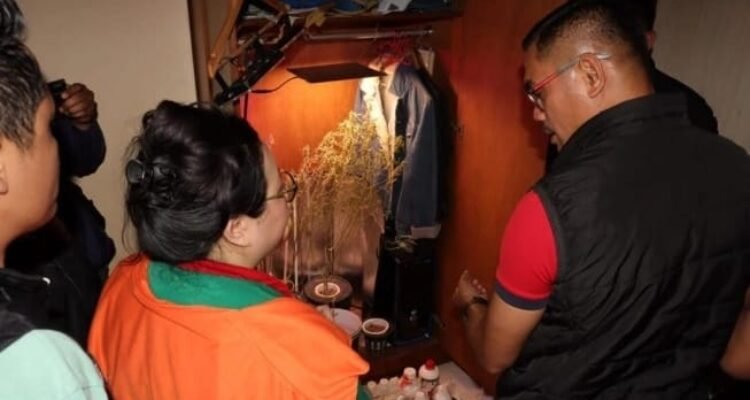Satres Narkoba Polres Metro Jakarta Barat menangkap seorang wanita berinisial LA (29), lantaran menanam pohon ganja hidroponik di dalam lemari