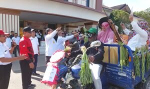 Pelepasan pesrta karnaval
