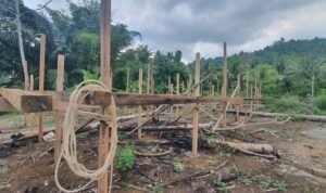 Pembngunan kandang ayam Desa Karya Baru, Kecamatan Dengilo