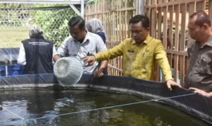 Penjabat Sekda Boalemo Supandra Nur saat meninjau Bioflok di desa Kramat dan Bendungan