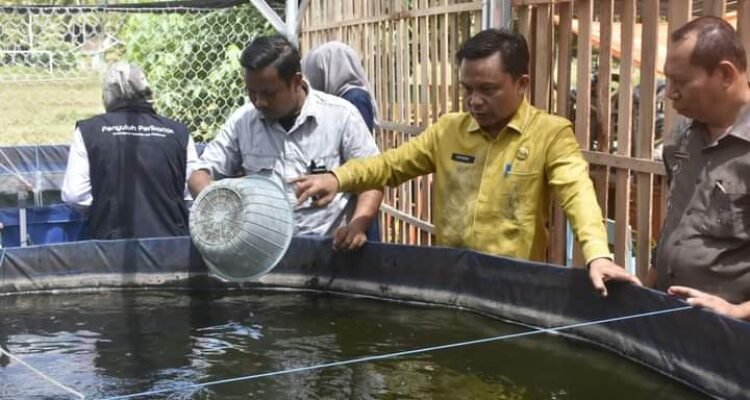 Penjabat Sekda Boalemo Supandra Nur saat meninjau Bioflok di desa Kramat dan Bendungan