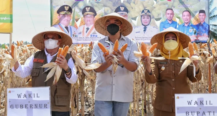 Mantan Wakil Gubernur Gorontalo dan Wakil Bupati Pohuwato, bersama KNPI Provinsi Gorontalo, Januari, Tahun 2022 Lalu.