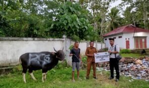 Penyerahan hewan kurban oleh BSG cabang Tilamuta ke Pemkab Boalemo