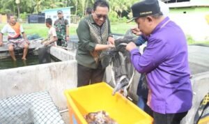 Pj Bupati Kabupaten Boalemo, Sherman Moridu bersama Deputi Bank Indonesia, perwakilan Provinsi Gorontalo saat meninjau tempat pembibitan ikan lele dan ikan nila