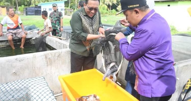Pj Bupati Kabupaten Boalemo, Sherman Moridu bersama Deputi Bank Indonesia, perwakilan Provinsi Gorontalo saat meninjau tempat pembibitan ikan lele dan ikan nila