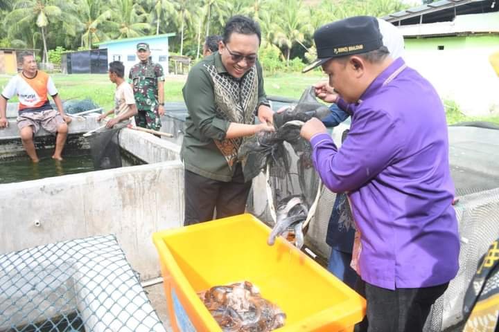 Pj Bupati Kabupaten Boalemo, Sherman Moridu bersama Deputi Bank Indonesia, perwakilan Provinsi Gorontalo saat meninjau tempat pembibitan ikan lele dan ikan nila