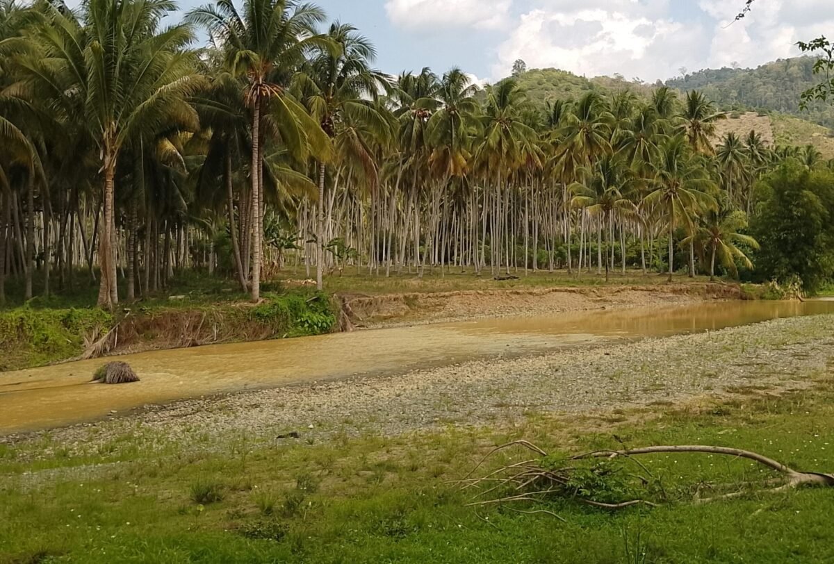 Kondisi air sungai Popayato di Desa Marisa, keruh dan berlumpur akibat aktivitas penambangan dengan alat berat di wilayah hulu