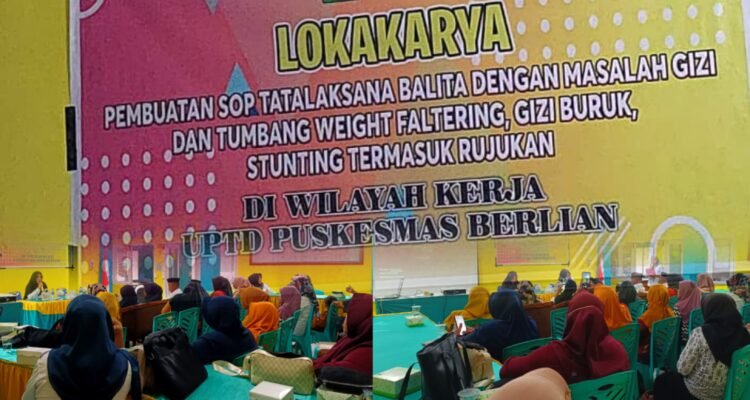 UPTD Puskesmas Berlian, gelar lokakarya pembuatan SOP tatalaksana alita dengan masalah gizi buruk, stunting termasuk rujukan