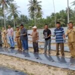 Proses penanaman cabai rawit program ketahanan pangan oleh TPKK Desa Dudewulo