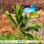 Aktivis alat berat jenis excavator di lokasi pertambangan ilegal desa Dulupi