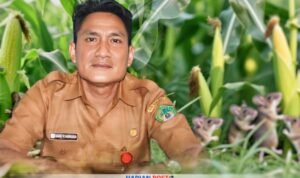 Kadis Pertanian Boalemo, Andi Faizal Hurudji (harianpost.id)