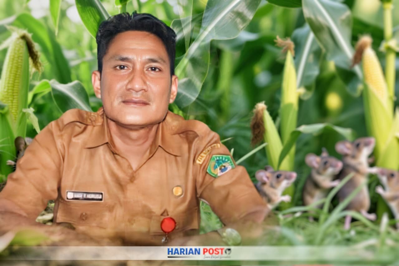 Kadis Pertanian Boalemo, Andi Faizal Hurudji (harianpost.id)