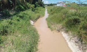 Sedimentasi menumpuk, Jaringan Irigasi Buntulia- Duhiada'a menyempit ( foto Harianpost.id)