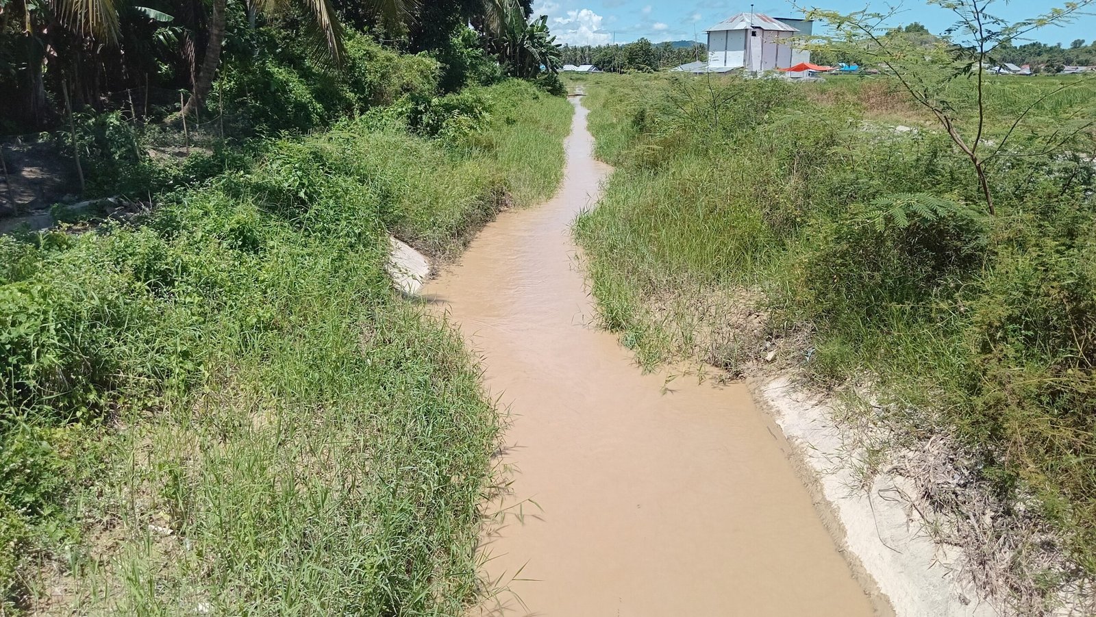 Sedimentasi menumpuk, Jaringan Irigasi Buntulia- Duhiada'a menyempit ( foto Harianpost.id)