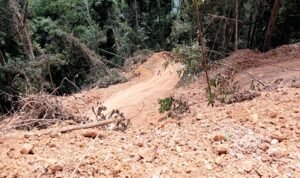 Pembukaan Akses Jalan di Gunung Bukit Raya