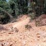 Pembukaan Akses Jalan di Gunung Bukit Raya