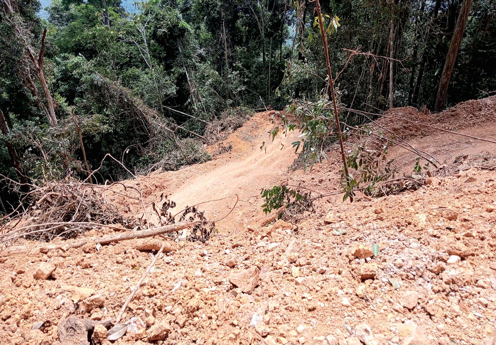 Pembukaan Akses Jalan di Gunung Bukit Raya