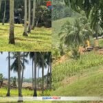 Polres Boalemo diminta bertindak tegas terhadap kegiatan Pertambangan Emas Tanpa Izin (PETI) di Dusun Sambati