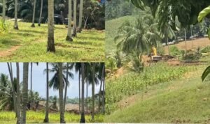 Polres Boalemo diminta bertindak tegas terhadap kegiatan Pertambangan Emas Tanpa Izin (PETI) di Dusun Sambati