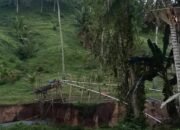 Praktik Pertambangan Emas Tanpa Izin (PETI) di Desa Tenilo, Kecamatan Paguyaman, kembali menantang hukum.