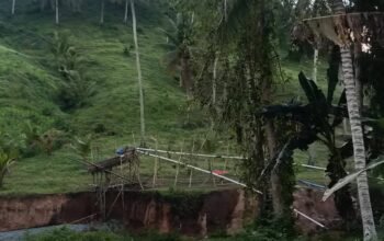 Praktik Pertambangan Emas Tanpa Izin (PETI) di Desa Tenilo, Kecamatan Paguyaman, kembali menantang hukum.