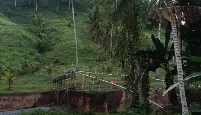 Aktivitas PETI di Tenilo Kembali Marak