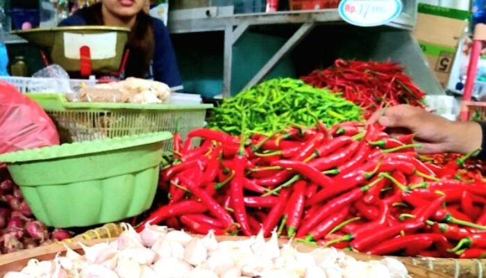 Jelang Idul Adha 1447 H, Harga Cabai Rawit dan Bawang Merah di Pohuwato Merangkak Naik