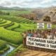 Bahas Nasib Tambang Ilegal, Pemdes Tamaila Gelar Musyawarah dengan Petani dan Penambang