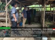 Tim Pemeriksa Kesehatan Hewan Kurban Dinas Pertanian dan Ketahanan Pangan Boalemo. (Sumber Foto: Istimewa)