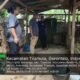 Pemkab Boalemo Pastikan Kesehatan Hewan Kurban Jelang Iduladha