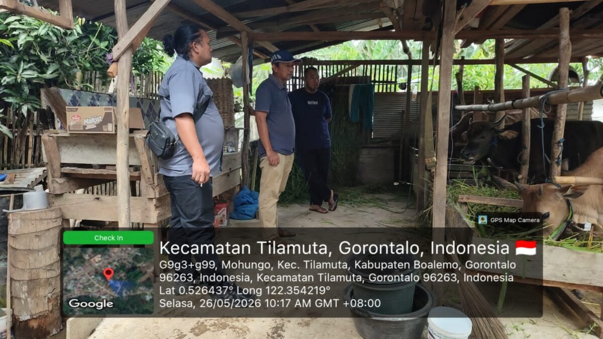 Tim Pemeriksa Kesehatan Hewan Kurban Dinas Pertanian dan Ketahanan Pangan Boalemo. (Sumber Foto: Istimewa)