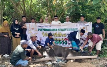 Rayakan Iduladha 1447 H, DPRD dan Setwan Pohuwato Bagikan Daging Kurban
