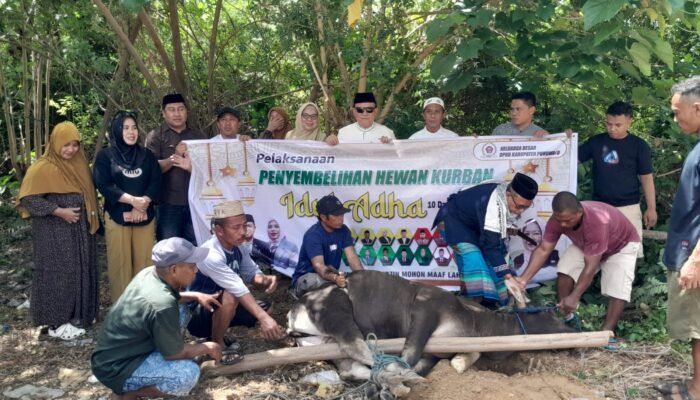 Rayakan Iduladha 1447 H, DPRD dan Setwan Pohuwato Bagikan Daging Kurban