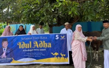 Wakil Ketua DPRD Delpan Yanjo Serahkan Sapi Kurban