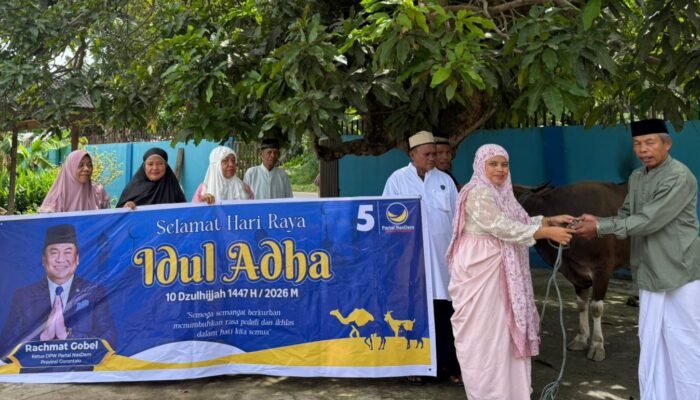 Berbagi Kehangatan Iduladha 1447 H, Delpan Yanjo Tebar Hewan Kurban untuk Warga Mootilango