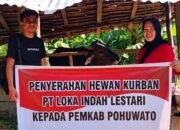 Penyerahan Hewan Kurban PT Loka Indah Lestari Kepada Pemkab Pohuwato