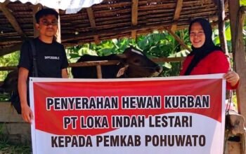 Penyerahan Hewan Kurban PT Loka Indah Lestari Kepada Pemkab Pohuwato