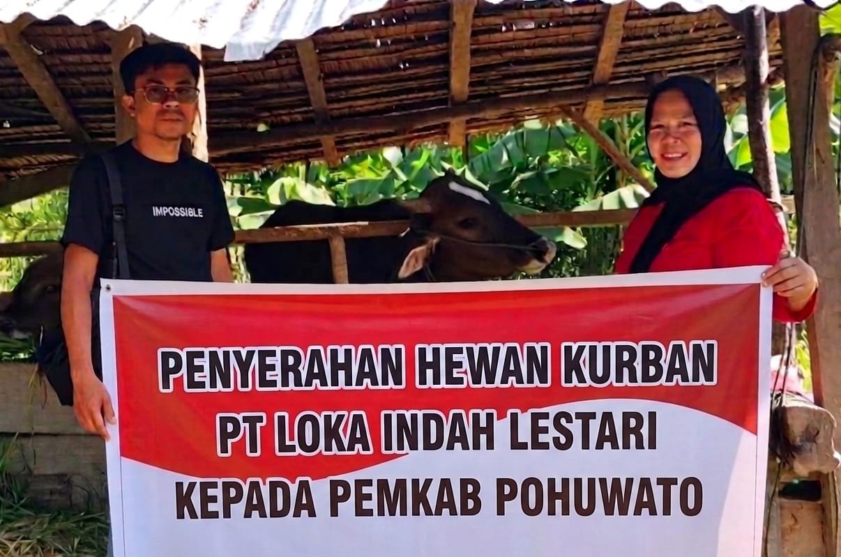 Penyerahan Hewan Kurban PT Loka Indah Lestari Kepada Pemkab Pohuwato
