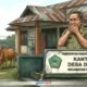 Sapi di BUMDes Dimito Boalemo Hilang, Kades dan Ketua BUMDes Malah Bungkam