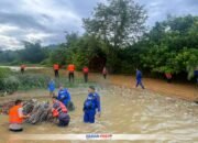 Polres Boalemo Terus Lakukan Pencarian Ayah Korban Hanyut di Manggulipa. (Sumber Foto: Polres Boalemo)