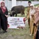 Penyerahan Hewan Kurban Untuk Pemkab Bone Bolango dari Bank SulutGo. (Sumber Foto: Kominfo)