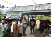 Bupati Boalemo, Rum Pagau bersama Wabup Boalemo, Lahmuddin Hambali Menyerahkan Bantuan Hewan Kurban dari Presiden ke Pengurus Masjid Al Ihsan Tutulo. (Sumber Foto: Istimewa)
