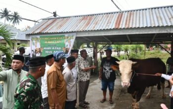 Bupati Boalemo, Rum Pagau bersama Wabup Boalemo, Lahmuddin Hambali Menyerahkan Bantuan Hewan Kurban dari Presiden ke Pengurus Masjid Al Ihsan Tutulo. (Sumber Foto: Istimewa)
