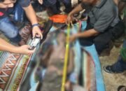Korban Tewas Tertimbun Longsor di lokasi tambang Bone Bolango